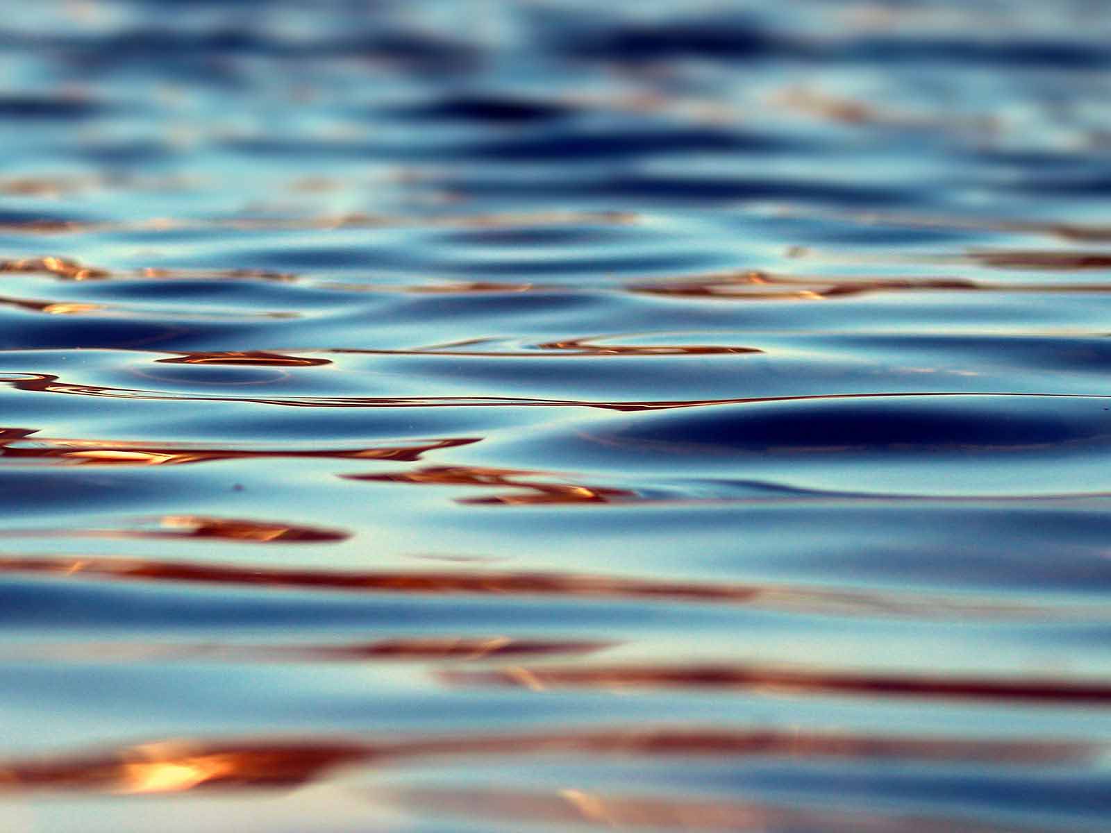 Schlemmen_am_See_mit_dem_Erikson_Hotel_Sindelfingen_gold